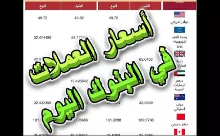 كم سعر 100 دولار اليوم في السوق السوداء؟ .. تعرف على أحدث اسعار العملات اليوم في البنوك المصرية