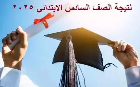 6 ابتدائي.. نتيجة الصف السادس الابتدائي 2025 بالاسم ورقم الجلوس عبر eduserv.cairo.gov.eg بوابه التعليم الاساسي