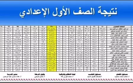 رابط نتيجة الصف الاول الاعدادي 2025 بالاسم ورقم الجلوس عبر بوابة نتائج التعليم الاساسي eduserv.cairo.gov.eg