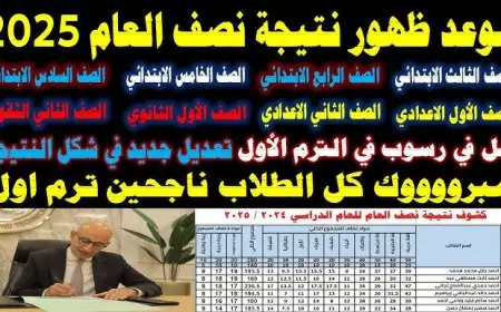 لينك فعال رسمي.. نتيجة الصف الرابع والخامس والسادس الابتدائي 2025 eduserv.cairo.gov.eg