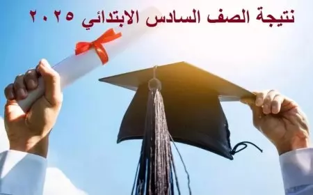 نتيجة الصف السادس الابتدائي بالرقم القومي الترم الثاني 2025 محافظة الجيزة موقع مديرية التربية والتعليم