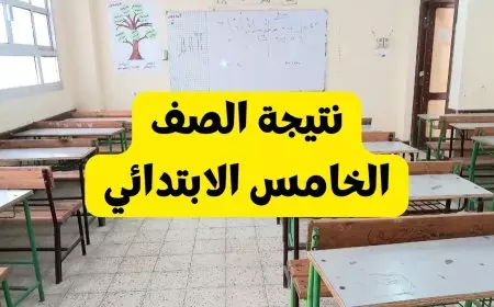 نتيجة الصف الخامس الابتدائي بالاسم ورقم الجلوس والرقم القومي الترم الثاني 2025 كل المحافظات عبر موقع وزارة التربية والتعليم