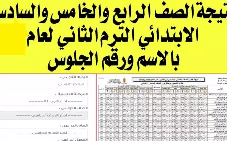 بوابة التعليم الأساسي برقم الجلوس 2025 نتيجة الصف الرابع و الخامس و السادس الابتدائي الترم الثاني برقم الجلوس او بالاسم فقط