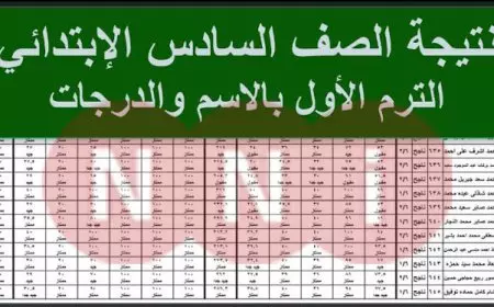 طلاب الجيزة.. نتيجة الصف السادس الابتدائي الترم الأول 2025 عبر بوابة مديرية التربية والتعليم بالرقم القومي