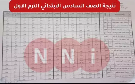 مليون مبروك.. نتيجة الصف السادس الابتدائي برقم الجلوس الترم الأول عبر بوابة التعليم الاساسي بالرقم القومي 2025