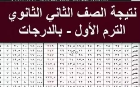 موقع وزارة التربية والتعليم نتيجة تانية ثانوي الترم الاول 2025 برقم الجلوس والاسم