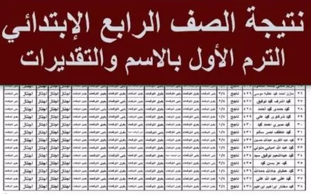مليون مبروك النجاح.. نتيجة الصف الرابع الابتدائي برقم الجلوس 2025 الترم الاول عبر بوابة التعليم الاساسي بالاسم فقط