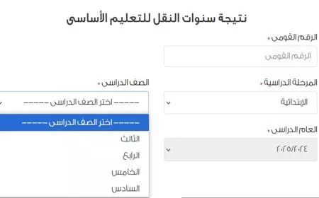 بالرقم القومي.. رابط نتيجة ابتدائي 2025 لجميع الصفوف الترم الأول عبر بوابه التعليم الاساسي نتائج الطلاب