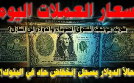 الدولار والريال واليورو.. أسعار العملات في السوق السوداء اليوم في مصر السبت 1 فبراير 2025 مقابل الجنيه