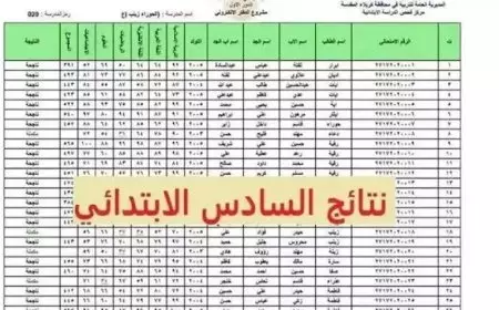 بالدرجات في كل المدارس.. نتيجة الصف السادس الابتدائي برقم الجلوس والاسم 2025 بوابة التعليم الاساسي