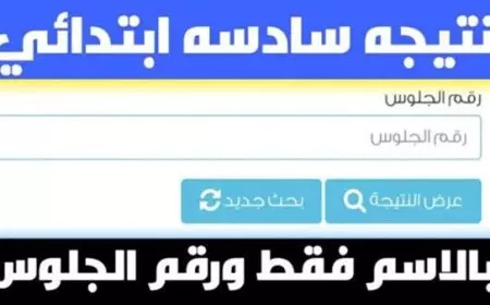 ظهرت رسميا.. نتيجة الصف السادس الابتدائي الفصل الدراسي الاول 2025 في جميع المحافظات بالاسم ورقم الجلوس