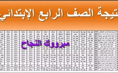 الأن بالاسم فقط.. نتيجة الصف الرابع الابتدائي الترم الأول 2025 وفقا لموقع وزارة التربية والتعليم جميع المحافظات