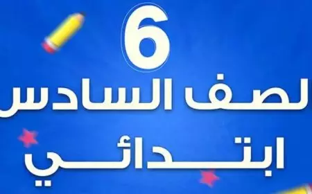 eduserv.cairo.. نتيجة الصف السادس الابتدائي محافظة القاهرة 2025 برقم الجلوس والاسم عبر بوابه التعليم الاساسي