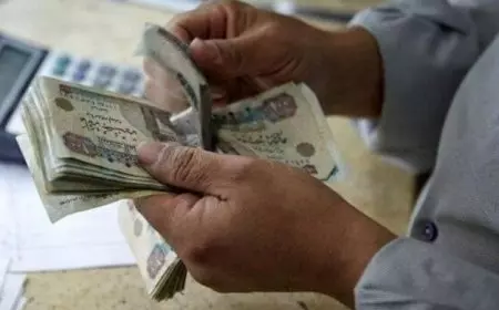 أعرف قيمة الرسوم.. ليه الدولة قررت تفرض رسوم على أصحاب المعاشات؟