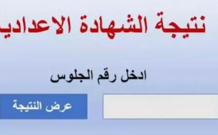جميع المحافظات..رابط الاستعلام عن نتيجة الشهادة الإعدادية 2025 عبر موقع وزارة التربية والتعليم الثالث الاعدادي