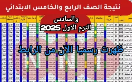 نتيجة الصف الرابع والخامس والسادس الابتدائي 2025 الترم الأول محافظة القاهرة بـ 20 جنيه عبر بوابة التعليم الاساسي نتائج الطلاب