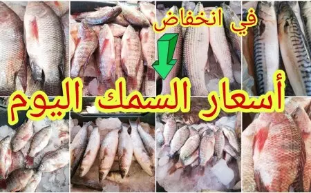اسعار السمك  اليوم البلطي للمستهلك في سوق العبور السبت 1-2-2025  سعر السمك في مصر
