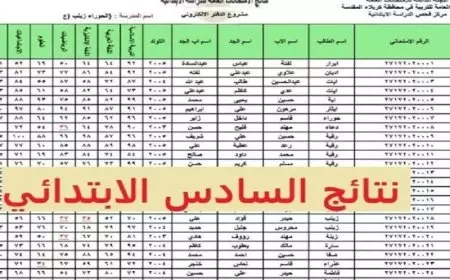 طلاب العراق.. نتائج التمهيدي للصف السادس الدور الأول نتائج التمهيدي للصف السادس الابتدائي الدور الأول عبر موقع نتائجنا