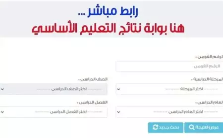 بوابة التعليم الأساسي برقم الجلوس نتيجة الصف الخامس الابتدائي برقم الجلوس الترم الأول 2025