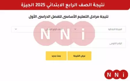 الأن رسميا.. نتيجة الصف الرابع الابتدائي 2025 الترم الأول في محافظة الجيزة بالرقم القومي او بالمساعد الذكي