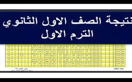الناجح يرفع ايده.. نتيجة الصف الاول الثانوي الترم الاول 2025 برقم الجلوس والاسم بجميع المحافظات موقع وزارة التربية والتعليم