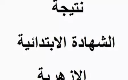 مبروك النجاح.. نتيجة الشهادة الابتدائية الأزهرية الترم الأول 2025 برقم الجلوس فقط عبر موقع بوابة الأزهر الالكترونية