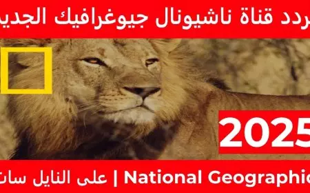 بجودة عالية HD.. تردد قناة ناشيونال جيوغرافيك 2025 National Geographic لمُتابعة أروع الوثائقيات