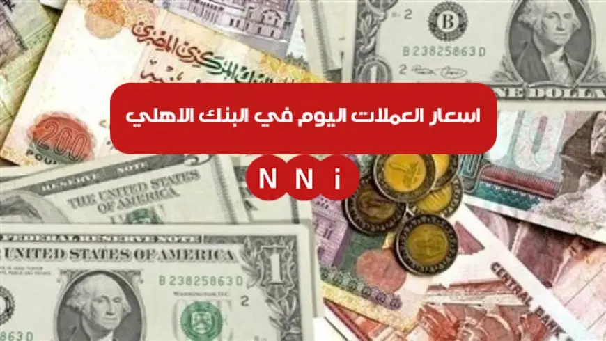 الدولار والريال والدينار.. اسعار العملات الأجنبية والعربية في البنك الأهلي المصري اليوم الخميس 2 يناير 2025