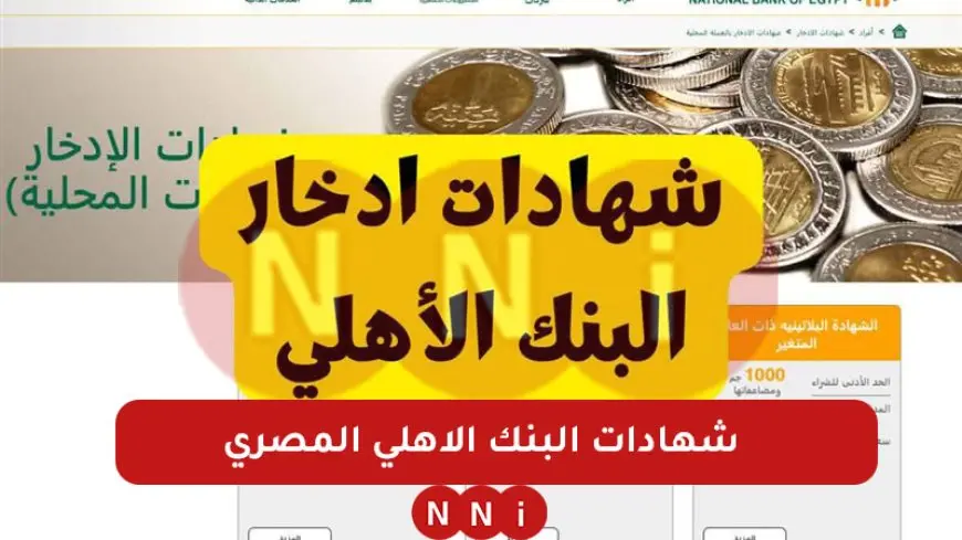 أكسب فلوس .. الشهادة البلاتينية السنوية من شهادات البنك الأهلي المصري بعائد يصل إلى 27%