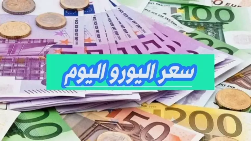 الاوربي بكام؟.. سعر اليورو اليوم مقابل الجنيه المصري في السوق السوداء الاثنين 13 يناير 2025 سعر الدولار في البنوك