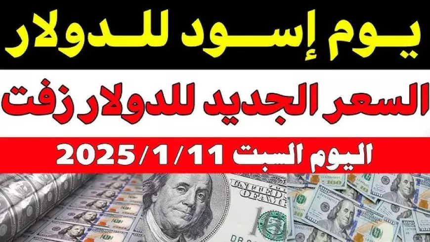 سوق موازية.. سعر الدولار اليوم في مصر تحديث يومي للبيع والشراء بالبنوك والسوق السوداء