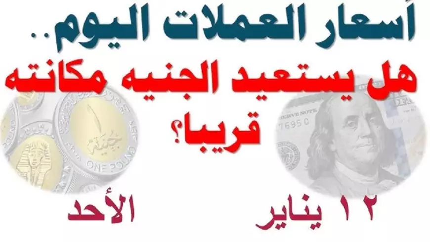 سعر الدولار اليوم مقابل الجنيه المصري اليوم الأحد 12 يناير 2025 أسعار العملات اليوم في السوق السوداء