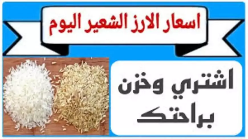 العريض بكام؟.. سعر طن الأرز الشعير اليوم في الأسواق المحلية للمستهلكين الاربعاء 15 يناير 2025