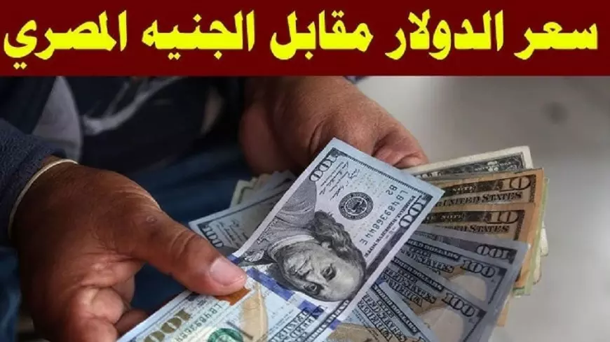 سعر الدولار في السوق السوداء اليوم الاحد 19 يناير 2025 أسعار الدولار في البنوك المصرية