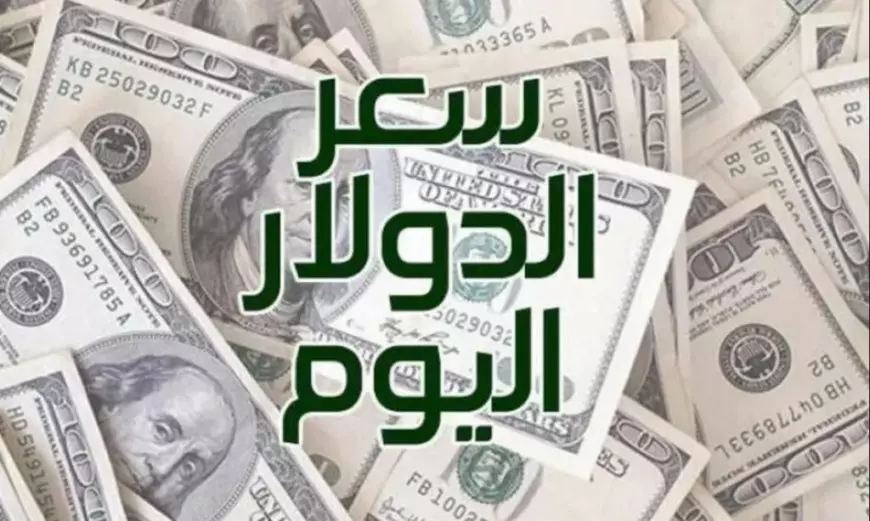 سعر الدولار اليوم في السوق السوداء والبنوك مقابل الجنيه المصري الاثنين 20 يناير 2025