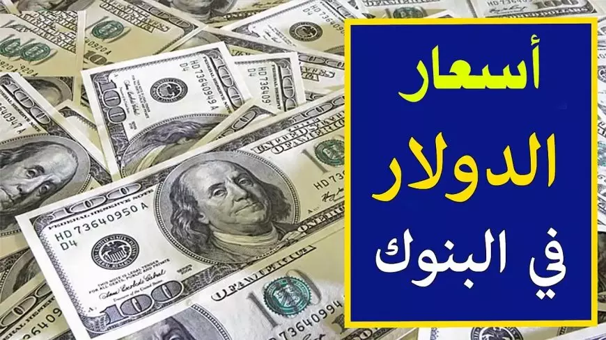 سعر الدولار اليوم في السوق السوداء مقابل الجنيه المصري الاربعاء 15 يناير 2025 تحديث للشراء و للبيع