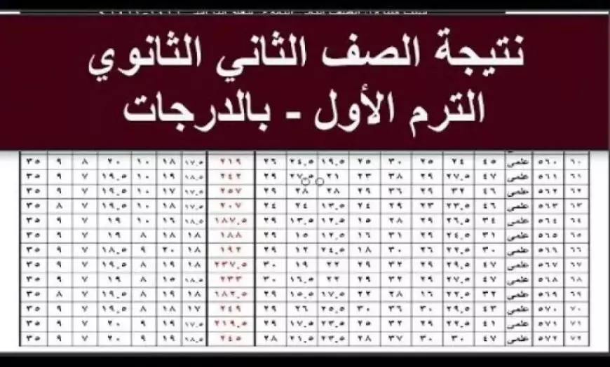 موقع وزارة التربية والتعليم نتيجة الصف الأول والثاني الثانوي 2025 عبر eduserv.cairo.gov.eg