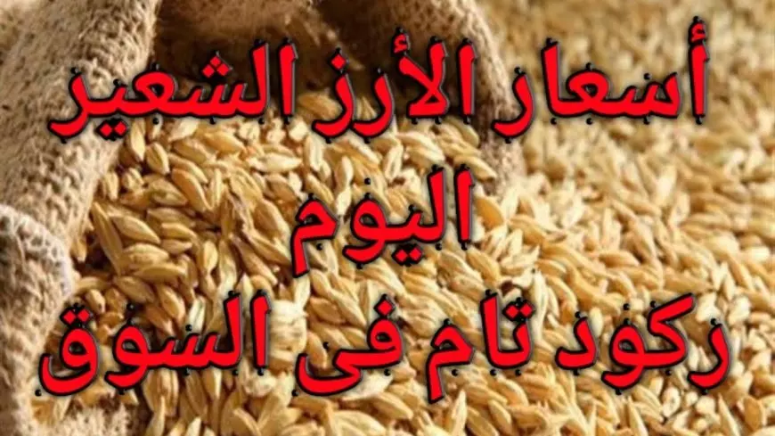 سعر طن الأرز الشعير اليوم الأحد 19 يناير 2025 اسعار الارز والسلع الغذائية مع اقتراب شهر رمضان