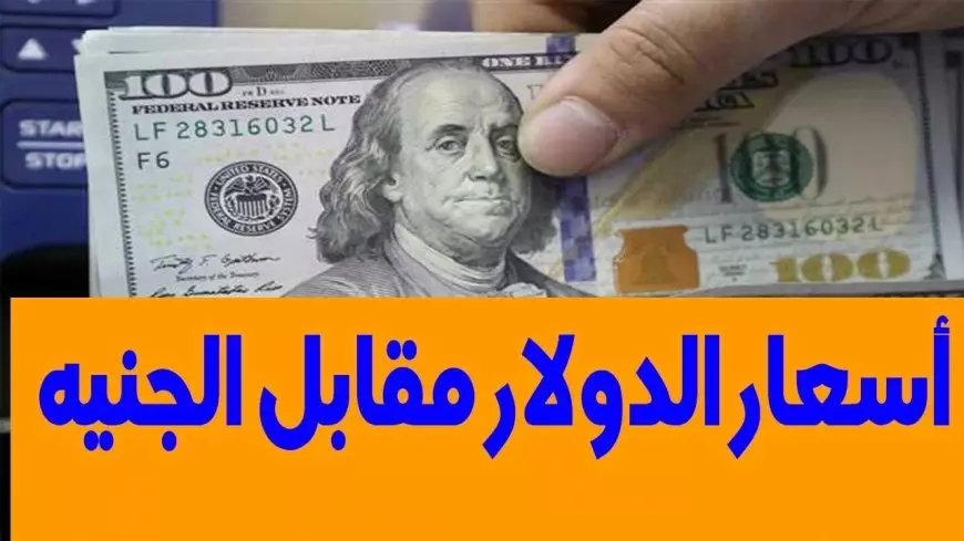 سعر الدولار اليوم مقابل الجنيه المصري الأثنين 20 يناير 2025 في السوق السوداء وداخل البنوك