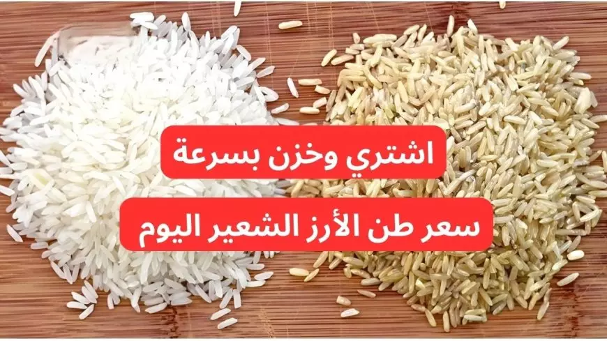 سعر طن الأرز الشعير اليوم في مصر الثلاثاء 21-1-2025 يتراجع بأكثر من 800 جنيه