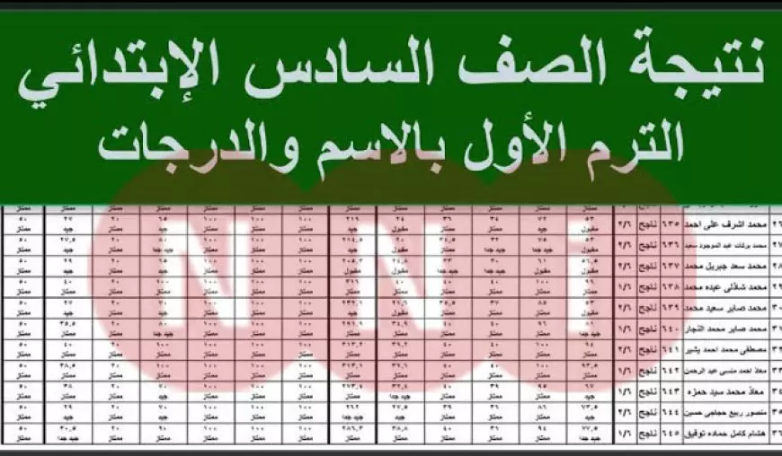 رابط النتائج.. نتيجة الصف السادس الابتدائي 2025 بالاسم ورقم الجلوس عبر eduserv.cairo.gov.eg  موقع وزارة التربية والتعليم