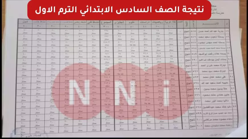 استخرج نتيجتك.. نتيجة الصف السادس الابتدائي برقم الجلوس 2025 عبر موقع وزارة التربية والتعليم الرسمي eduserv.cairo.gov.eg