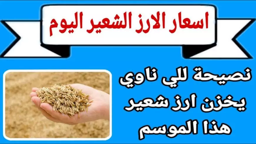 رفيع وعريض الحبه.. سعر طن الأرز الشعير اليوم الجمعة 24 يناير 2025 أسعار السلع الأساسية للمستهلك داخل الاسواق المصرية