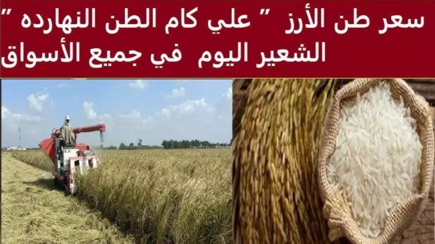 سعر طن الأرز الشعير اليوم الثلاثاء 28 يناير 2025 اسعار السلع الغذائية في مصر في المحلات