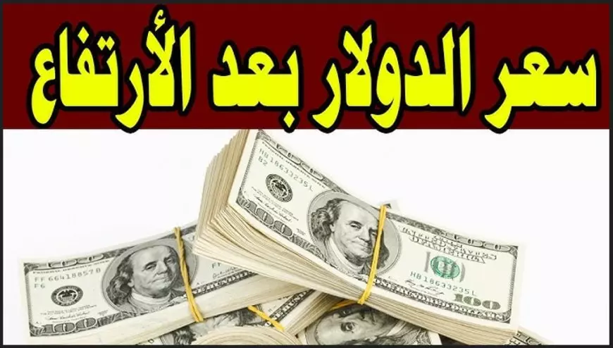 الامريكي طاير.. سعر الدولار اليوم في السوق السوداء مقابل الجنيه المصري الاربعاء 12 فبراير 2025 اسعار الدولار في البنك الاهلي وبنك مصر