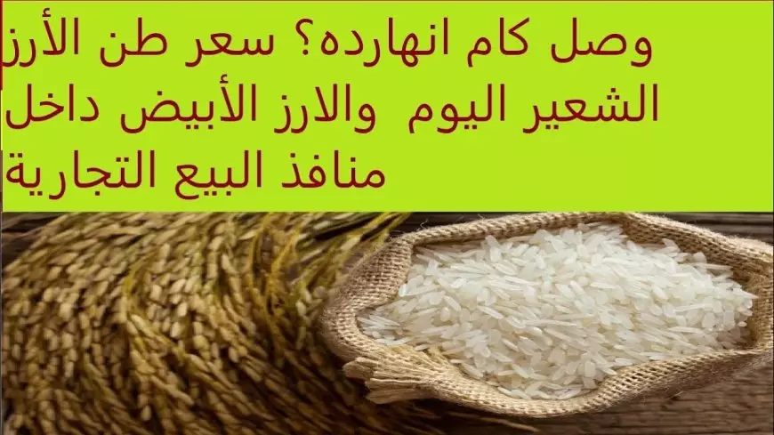 اشتري قبل رمضان.. سعر طن الأرز الشعير اليوم الخميس 30 يناير 2025 الرفيع والعريض الحبه