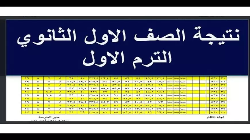 الناجح يرفع ايده.. نتيجة الصف الاول الثانوي الترم الاول 2025 برقم الجلوس والاسم بجميع المحافظات موقع وزارة التربية والتعليم