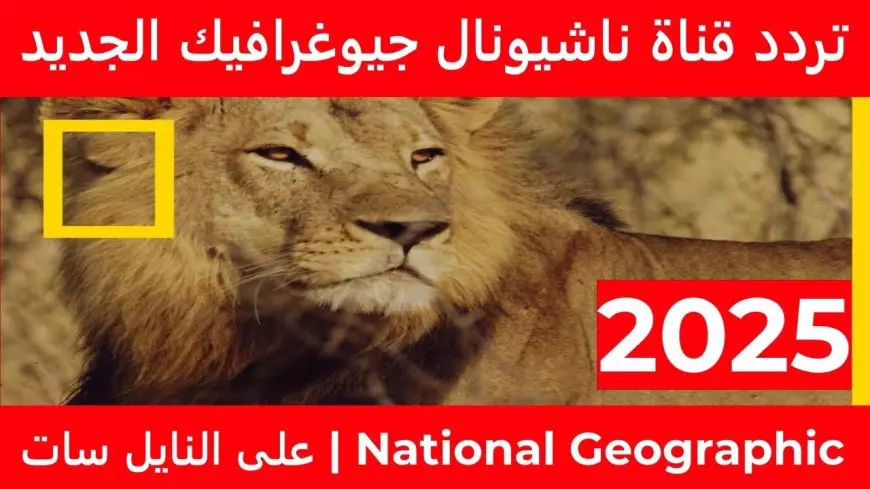 بجودة عالية HD.. تردد قناة ناشيونال جيوغرافيك 2025 National Geographic لمُتابعة أروع الوثائقيات