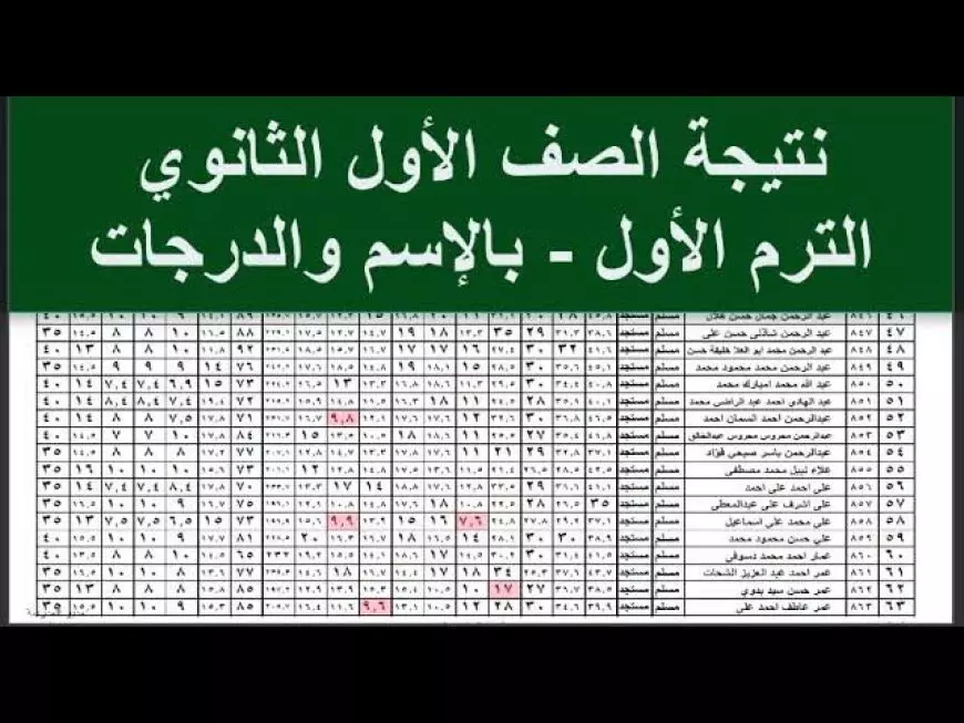 استعلم دلوقتي.. نتيجة أولى ثانوي الترم الأول 2025 في الجيزة برقم الجلوس على موقع مديرية التربية والتعليم