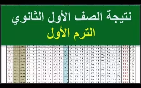 موقع وزارة التربية والتعليم.. نتيجة الصف الأول الثانوي برقم الجلوس بالقاهرة 2025 وباقي المحافظات